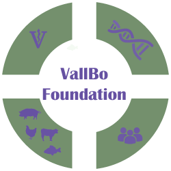 vallbo-foundation