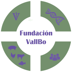 fundacion-vallbo-logo