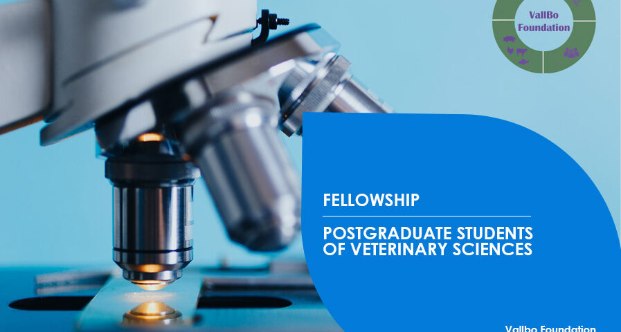 Microbiological isolation of the main bacteria causing liver diseases in poultry